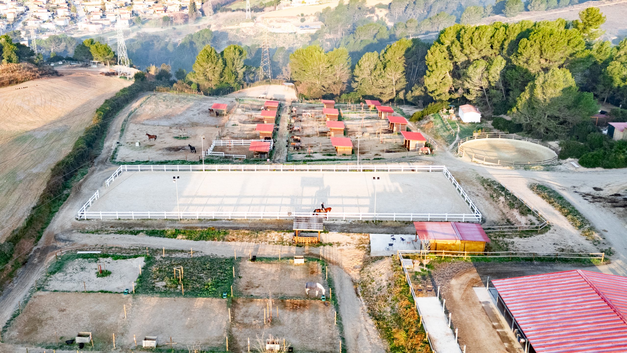 DJI_20250206090515_0010_D