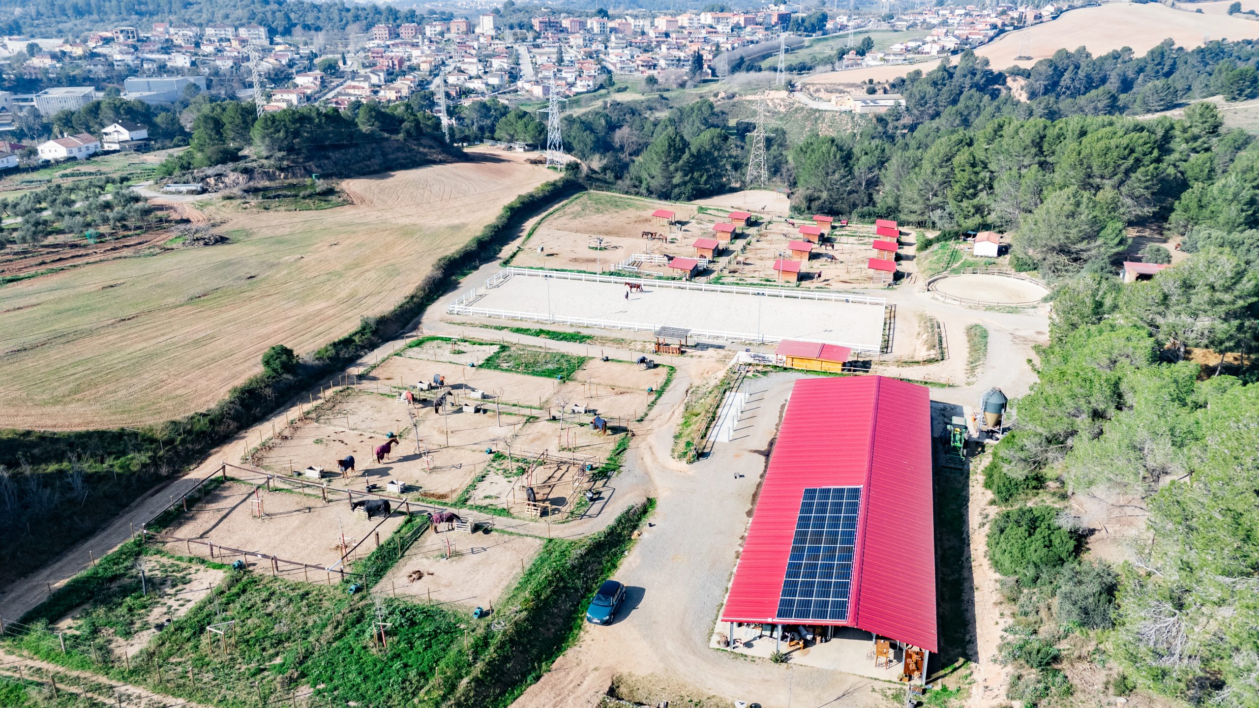 DJI_20250206115728_0016_D