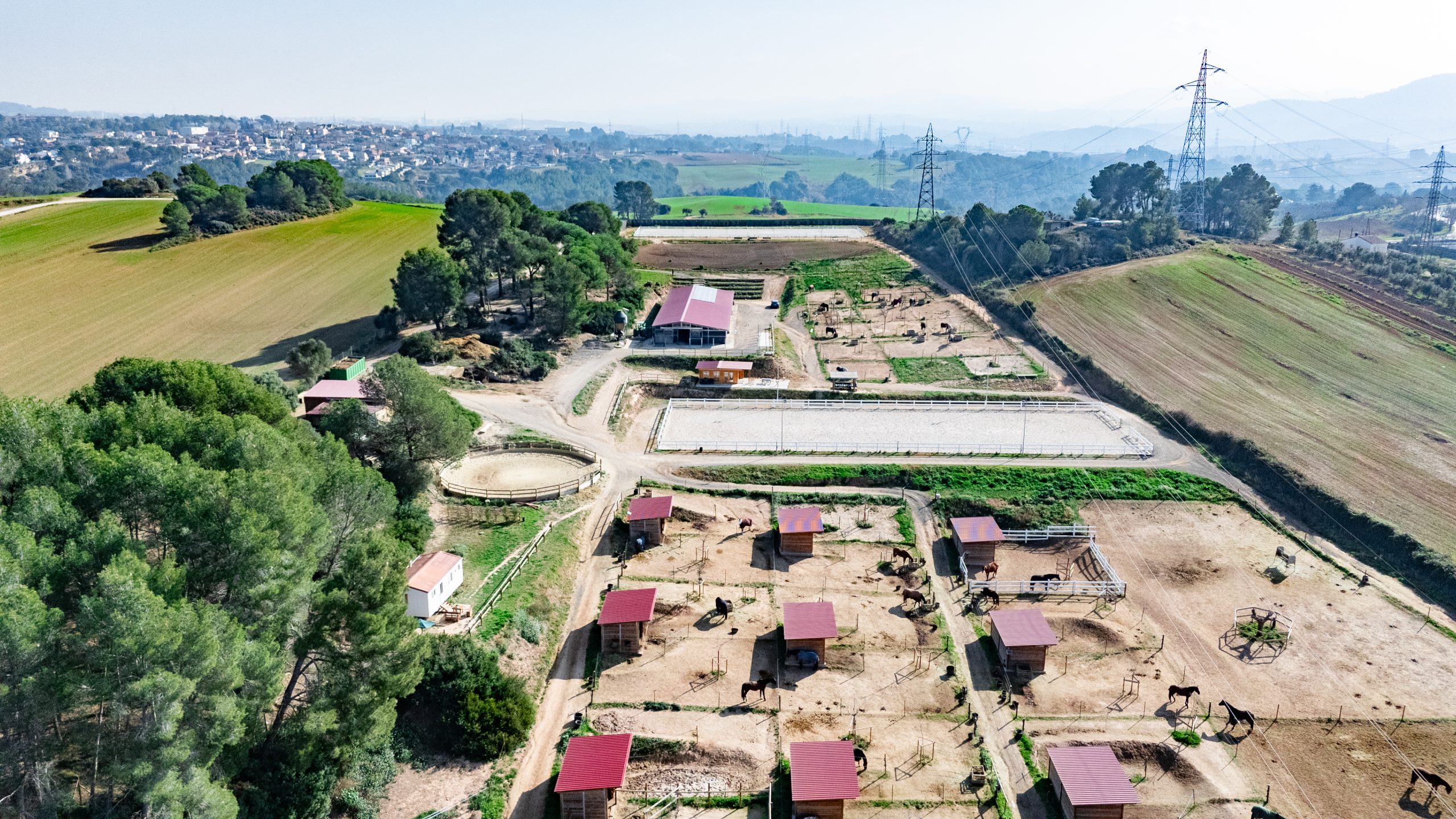 DJI_20250206120148_0024_D