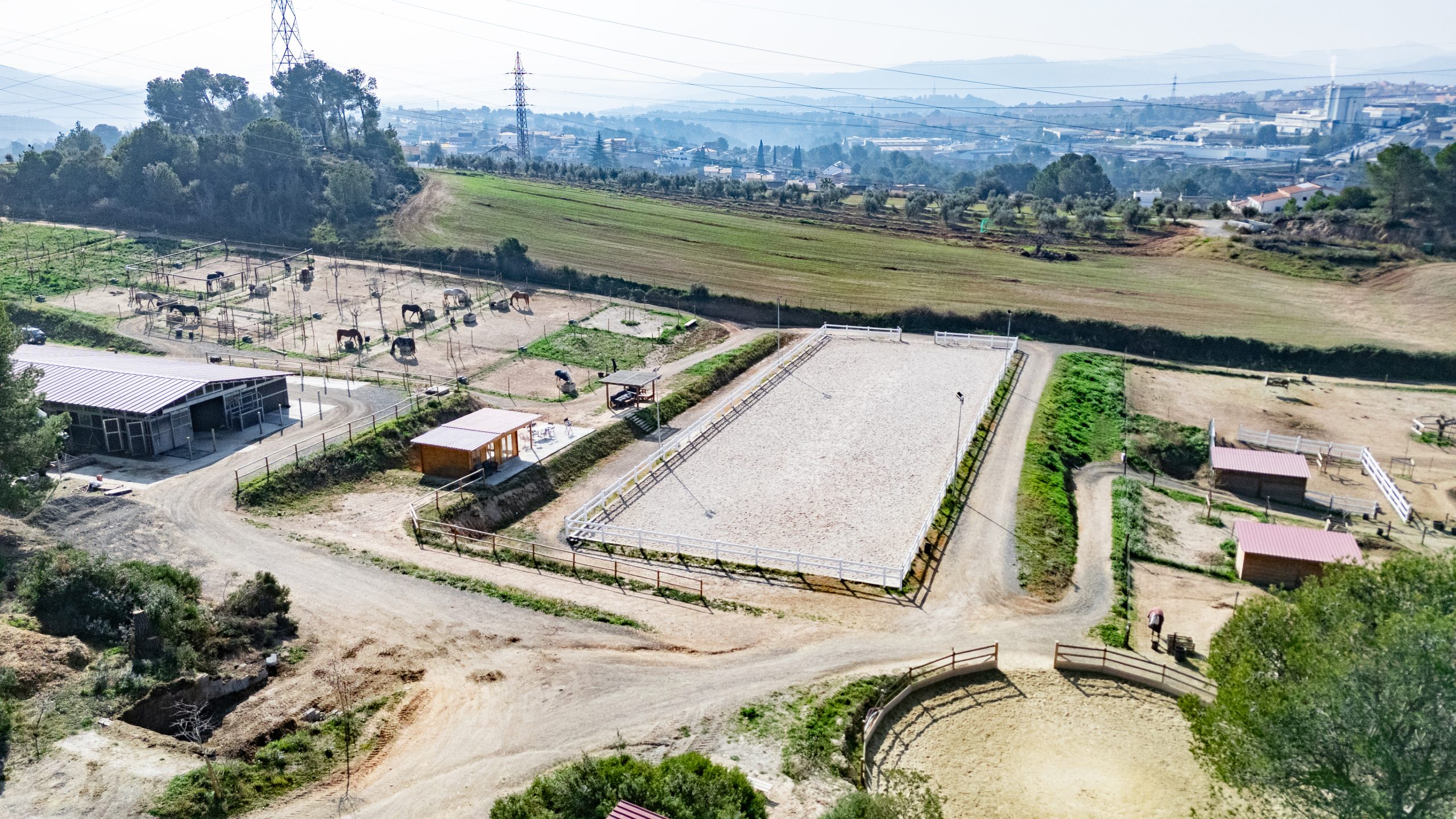 DJI_20250206121255_0030_D