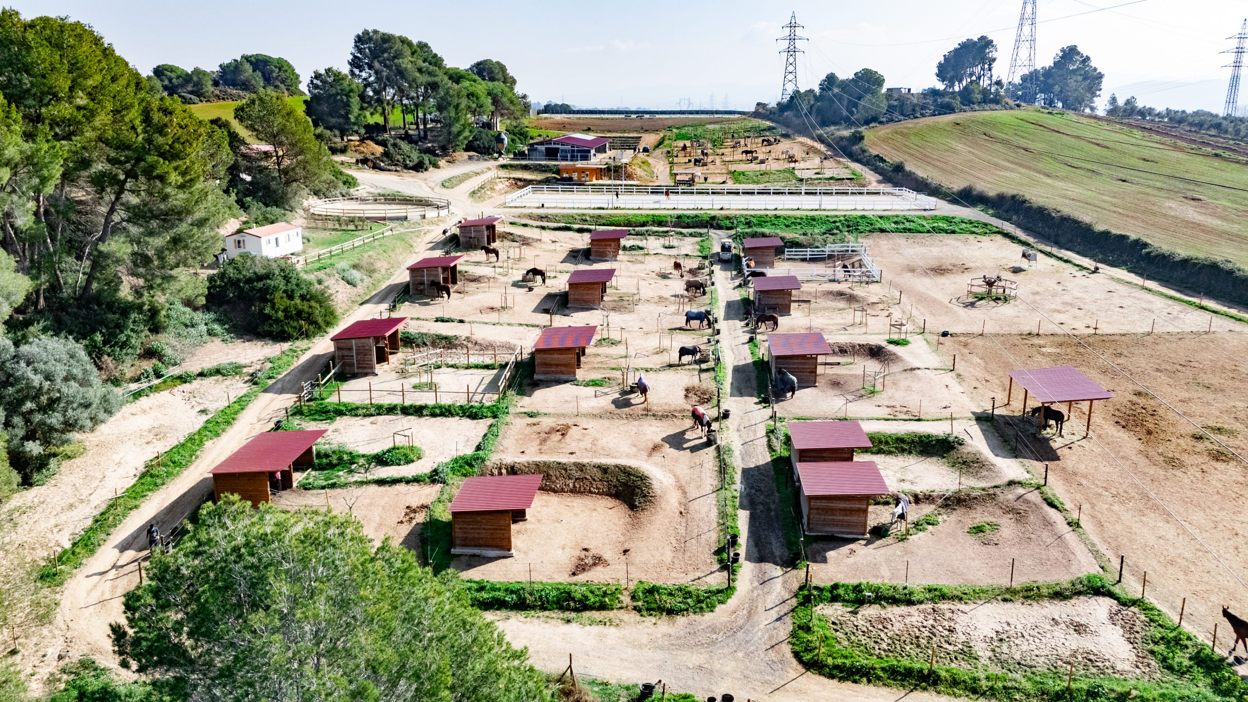 DJI_20250206122421_0047_D