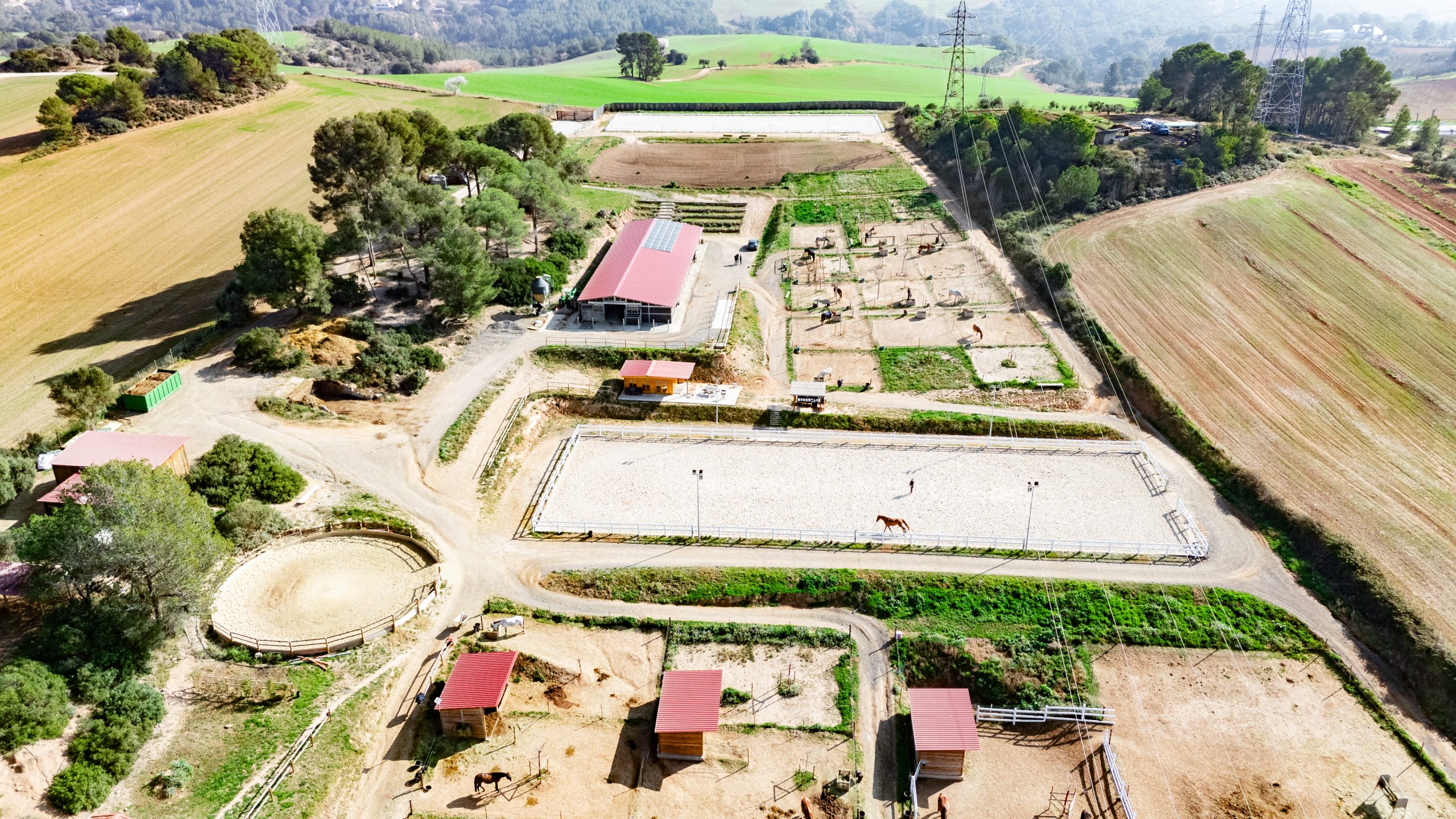 DJI_20250206122508_0050_D